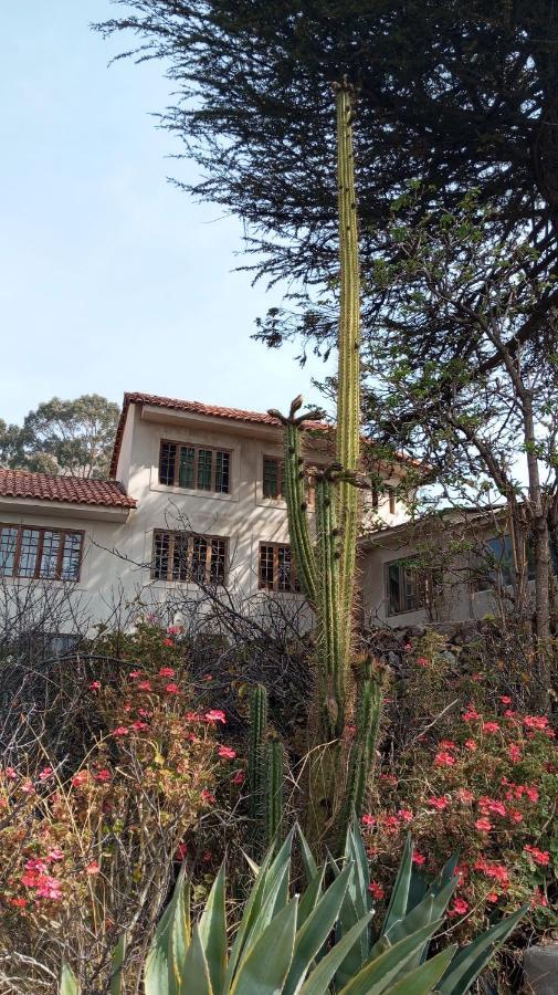 Hostal La Chacarilla Copacabana  Exteriér fotografie